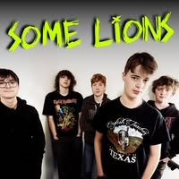 Some Lions