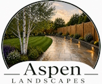 Aspen Landscapes